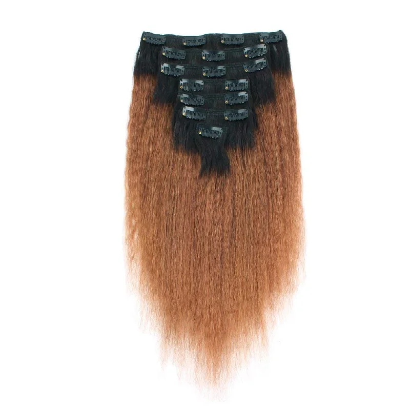 14 Inch / Kinky Straight / Ombre #N/30