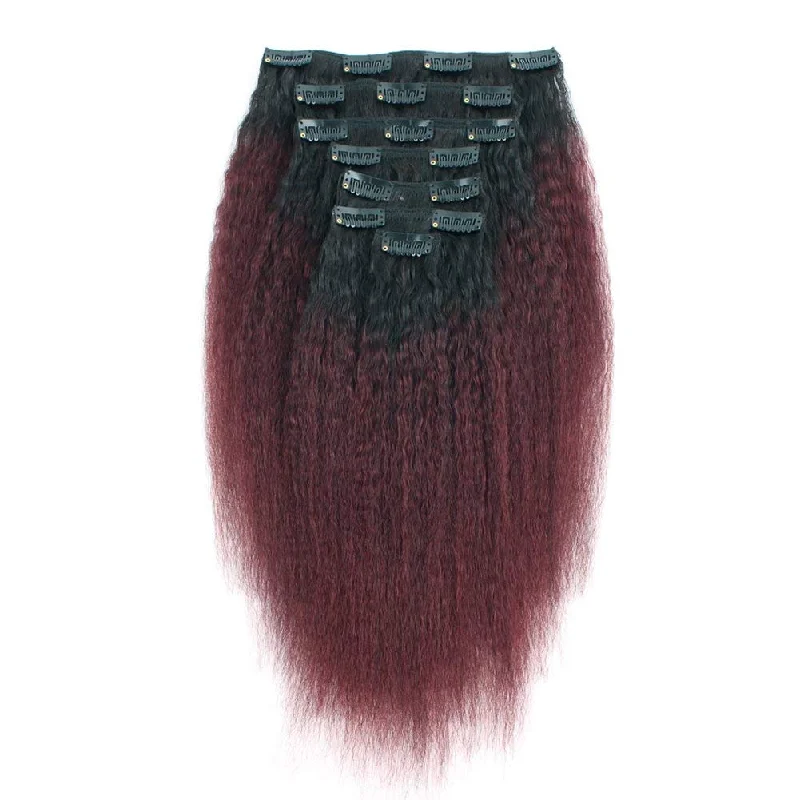 14 Inch / Kinky Straight / Ombre #N/99J