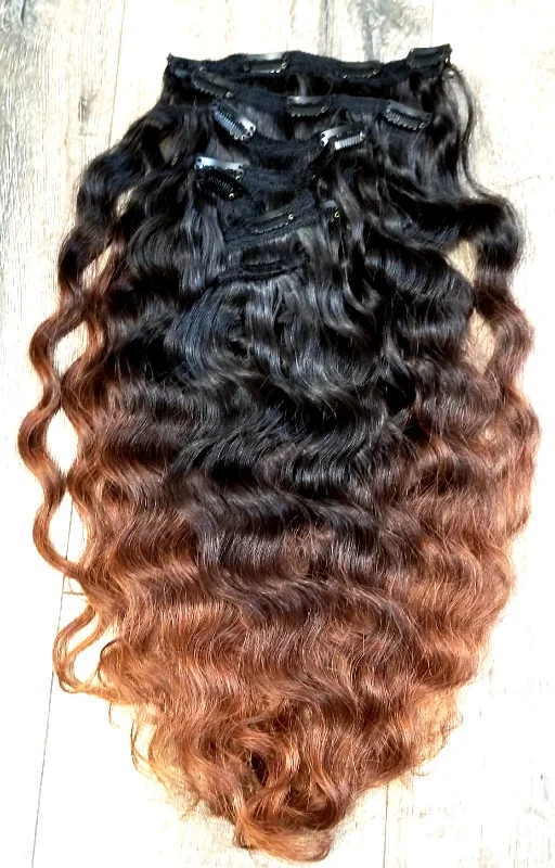 100% Human Hair Clip Ins Colored