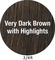 2/4R | Very Dark Brown with highlights