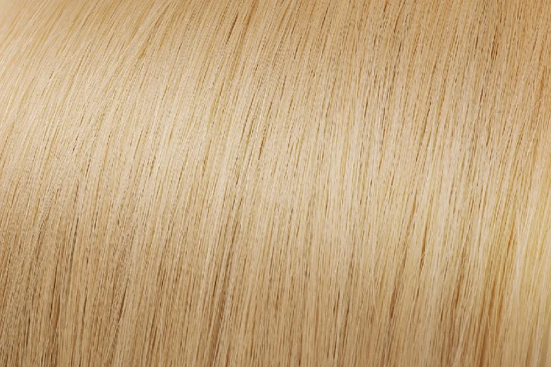 Clip In Extensions: Light Golden Blonde #22