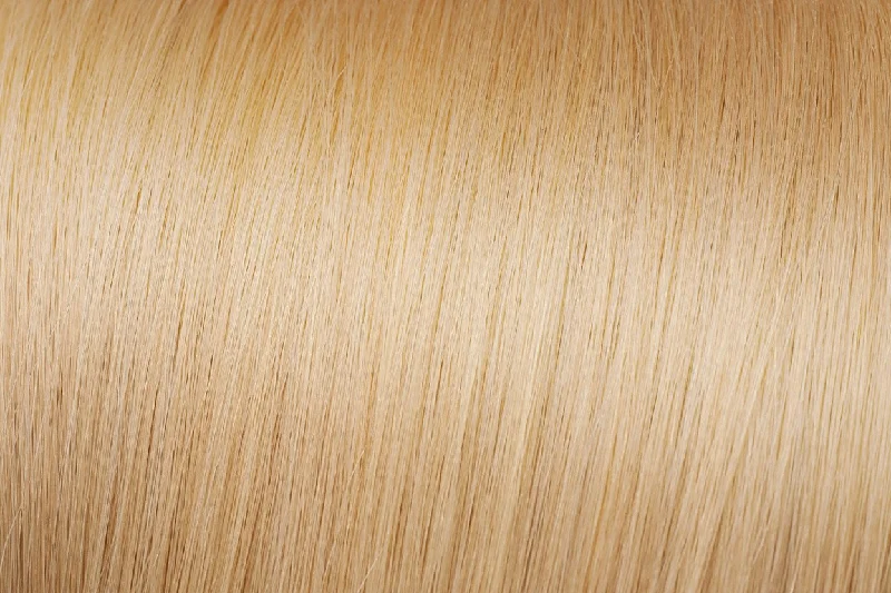 Clip In Extensions: Medium Golden Blonde #24