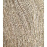 Quad Weft Clip in Set 230g, Champagne Blonde